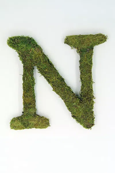 Terrain Sheet Moss Letter In Green