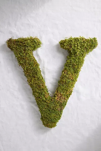 Terrain Sheet Moss Letter In Green