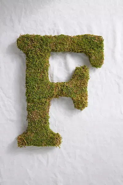 Terrain Sheet Moss Letter In Green