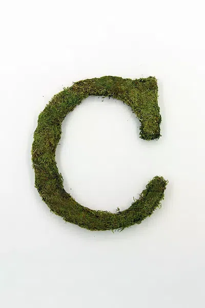 Terrain Sheet Moss Letter In Green