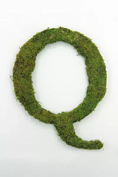 Terrain Sheet Moss Letter In Green
