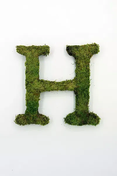 Terrain Sheet Moss Letter In Green