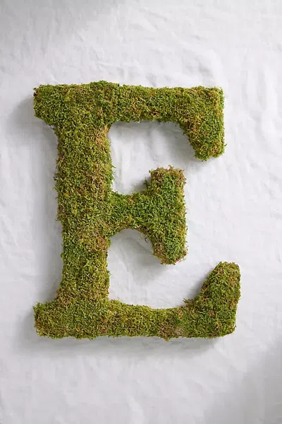 Terrain Sheet Moss Letter In Green