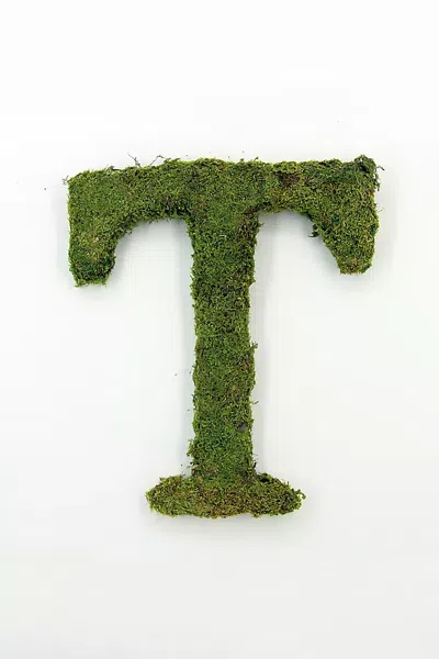 Terrain Sheet Moss Letter In Green
