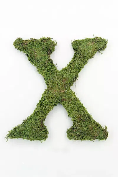Terrain Sheet Moss Letter In Green