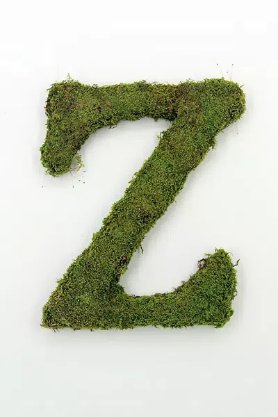 Terrain Sheet Moss Letter In Green