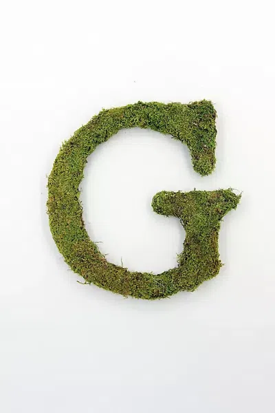 Terrain Sheet Moss Letter In Green