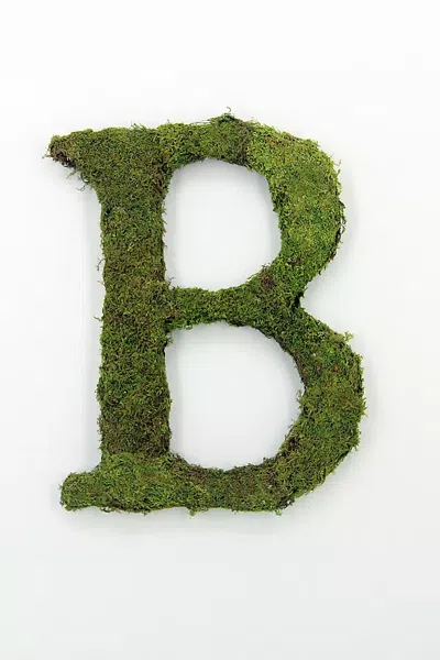 Terrain Sheet Moss Letter In Green