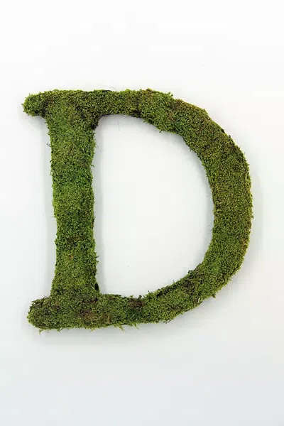 Terrain Sheet Moss Letter In Green