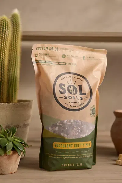Terrain Sol Soils Succulent Gritty Mix In Multi