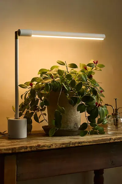 Terrain Soltech Tabletop Led Grow Light In Green