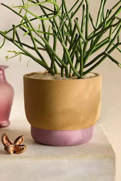 Terrain Spectrum Footed Stoneware Planter In Multi