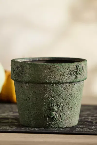 Terrain Spider Stoneware Pot In Green