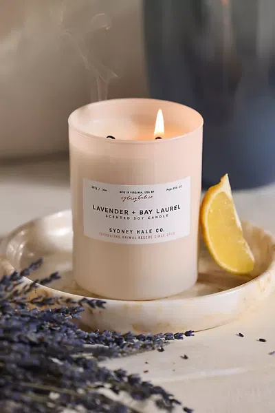 Terrain Sydney Hale Candle, Lavender + Bay Rum In Neutral
