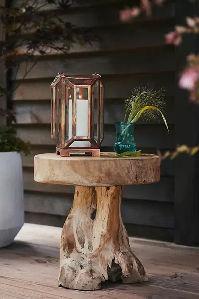 Terrain Teak Root Side Table In Brown