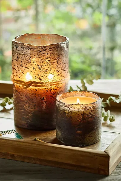 Terrain Textured Glass Candle, Tobacco Bark In Multicolor
