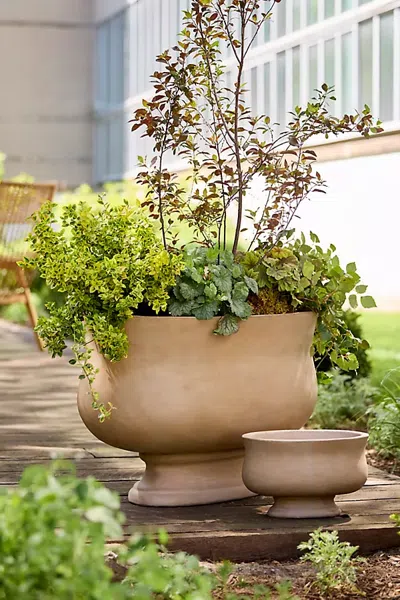 Terrain Torino Concrete Oval Planter In Neutral