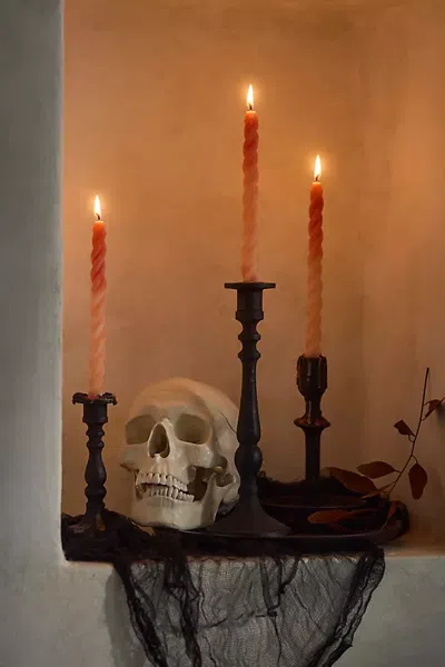 Terrain Twisty Taper Candles, Set Of 3 Orange