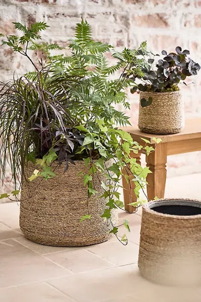 Terrain Woven Seagrass + Fiber Taper Pot In Beige