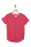 Thread & Supply Delta V-neck T-shirt In Magenta Stripe