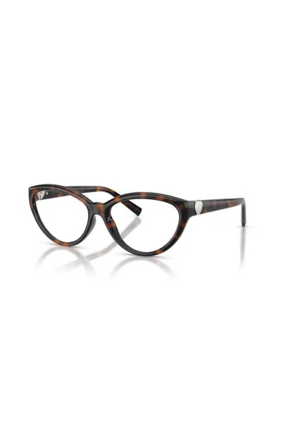 Tiffany & Co . 55mm Cat Eye Optical Glasses In Tortoise