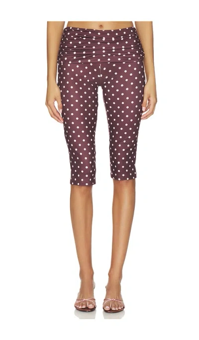 Tiger Mist Vali Polka Dot Capri Pant In Chocolate & Baby Pink