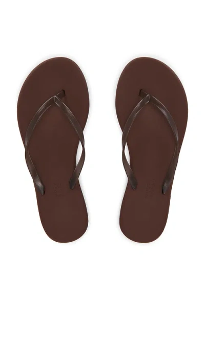 Tkees Aqua Flip Flops In Brun