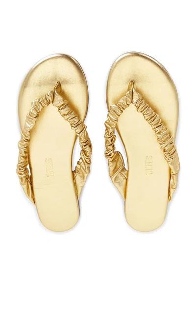 Tkees Savanna Sandal In Blink