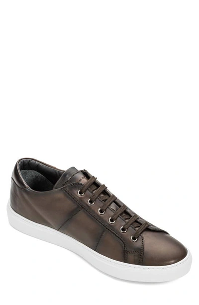 To Boot New York Colton Trainer In Dark Brown