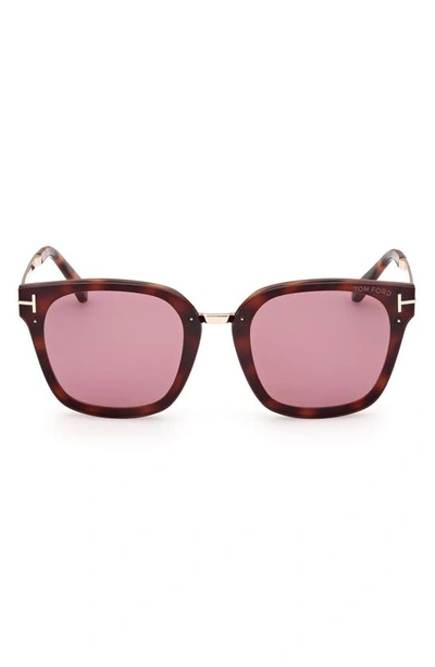 Tom Ford Philippa 68mm Gradient Square Sunglasses In Dark Havana / Violet