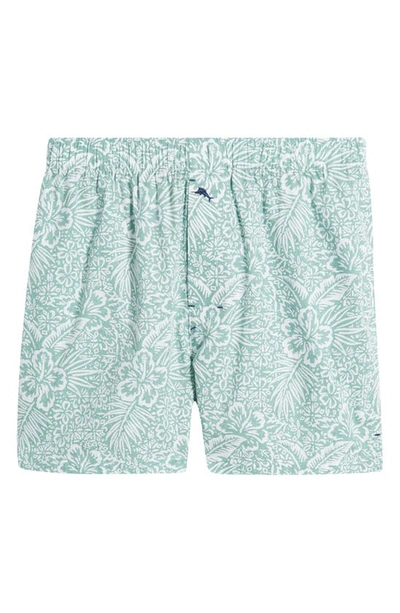 Tommy Bahama Cotton Pajama Boxers In Mint Print