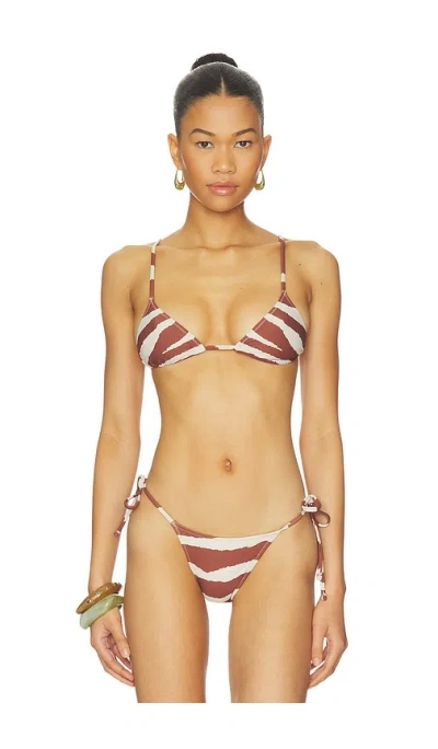 Tropic Of C Equator Bikini Top In Savanna