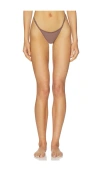 Tropic Of C Luna Bikini Bottom In Driftwood