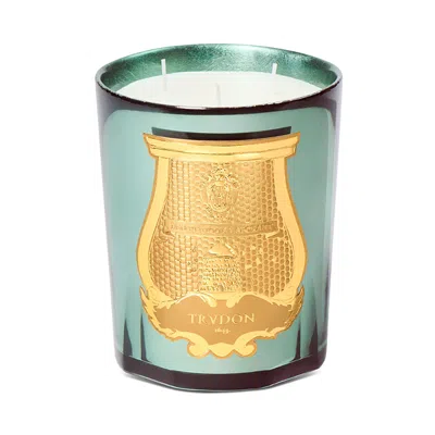 Trudon Fir Intermezzo Scented Candle 28 Oz. In Green