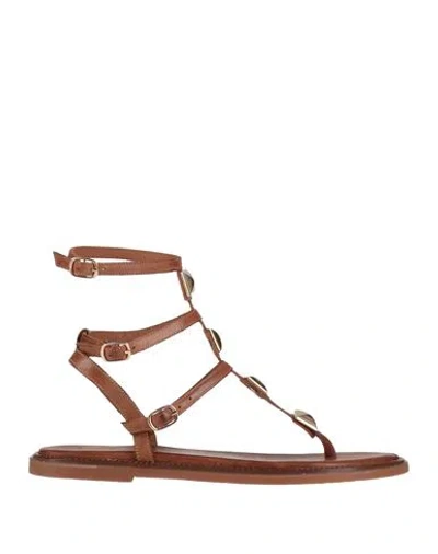 Tsakiris Mallas Woman Thong Sandal Brown Size 8 Leather