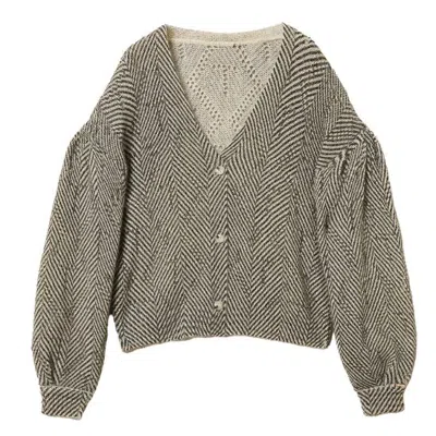Twinset Twin-set Ivory Nylon Sweater In Gray