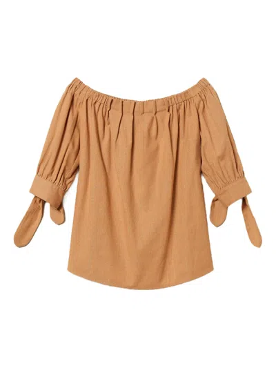 Twinset Pinstriped Tie-sleeve Blouse In Brown