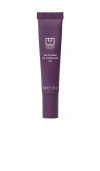 U Beauty The Plasma Lip Compound Tinted In Fig