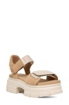 Ugg Ashton Lug Sandal