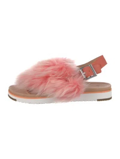 Pre-owned Ugg Shearling Slides In Pink
