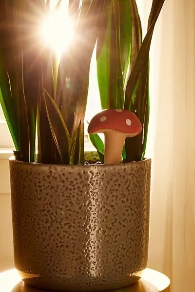 Urban Outfitters Mushroom Watering Spike In Red At  In Brown