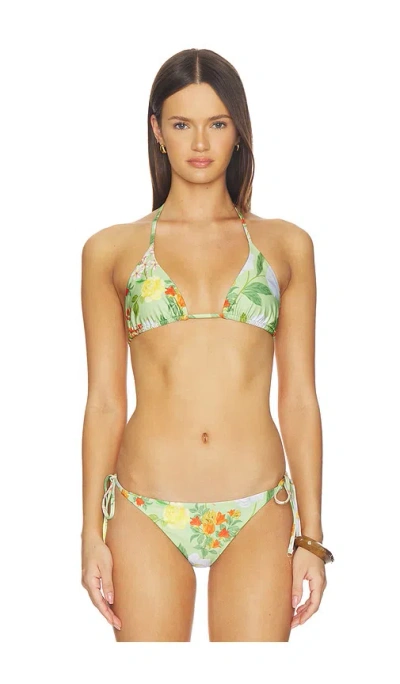 Verandah Triangle Bikini Top In Sage Green Multi Floral