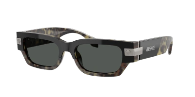 Versace Man Sunglass Ve4465 In Dark Grey