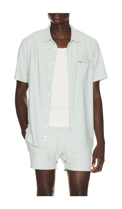 Vintage Summer Stripe Knit Button Down Shirt In Sage