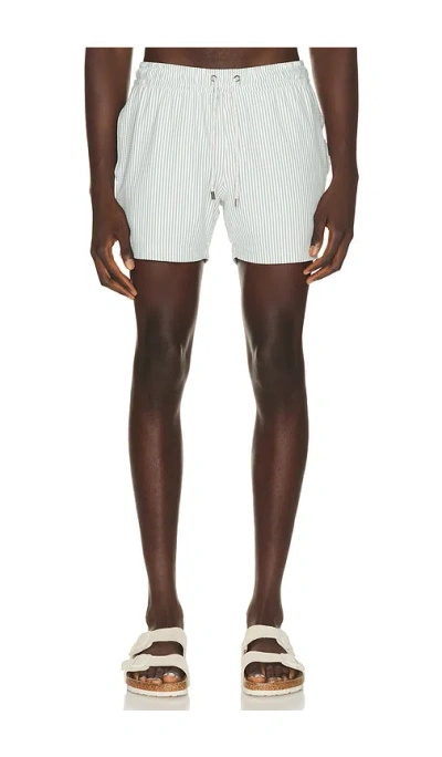 Vintage Summer Stripe Knit Shortie Volley In Sage