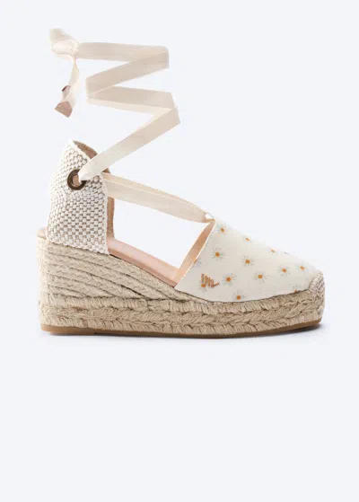 Viscata Bisbe Archive Canvas Espadrille Platform Wedges In Daisy