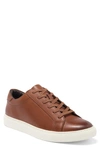 Vittorio Russo Adan Low Top Sneaker In Valentina Nut