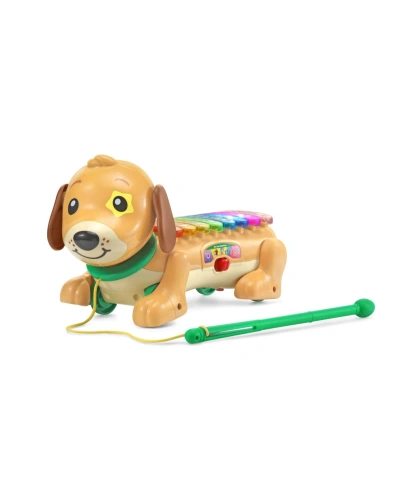 Vtech Zoo Jamz Doggy Xylophone In No Color