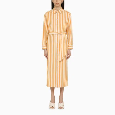 Weekend Max Mara White Striped Cotton Chemisier Dress In Orange