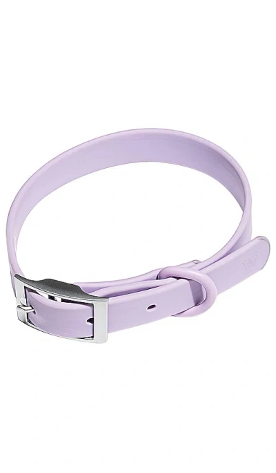 Wild One Large Collar In Lilac